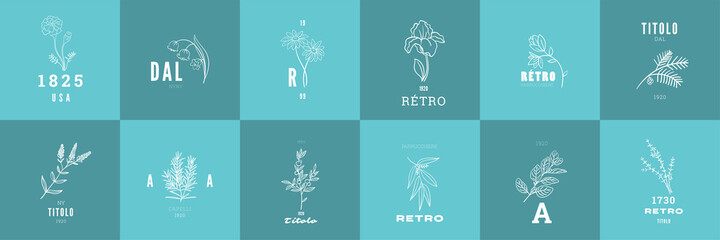 Wall Mural - set of elegant and luxury signs for beauty, natural and organic products. vector illustrations for g