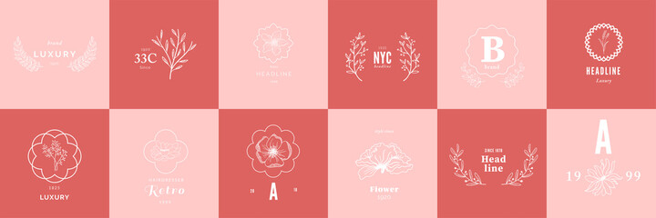 Wall Mural - set of elegant and luxury signs for beauty, natural and organic products. vector illustrations for g
