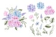 set of flower hydrangea blue pink and leaf isolated clip-art