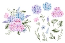 Set Of Flower Hydrangea Blue Pink And Leaf Isolated Clip-art