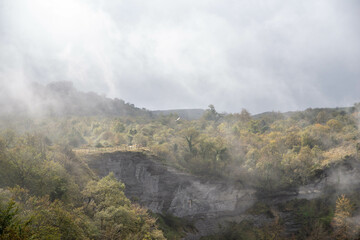 Canvas Print - Beautiful view of a forest on the rock with fog on it