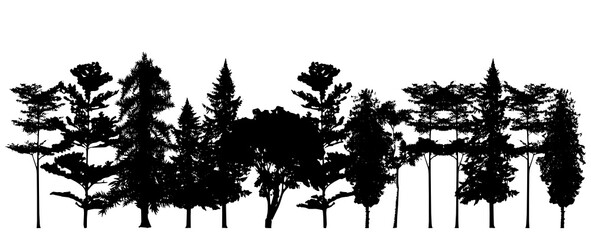 Wall Mural - collection of trees vector on white background