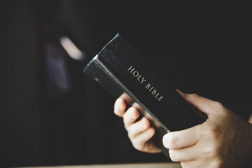 Wall Mural - Woman holding the bible in hands