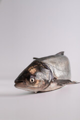 Close-up of a fish. Fresh silver carp fish. Fish shop products