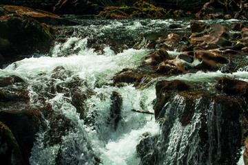 Wall Mural - waterfall in the forest