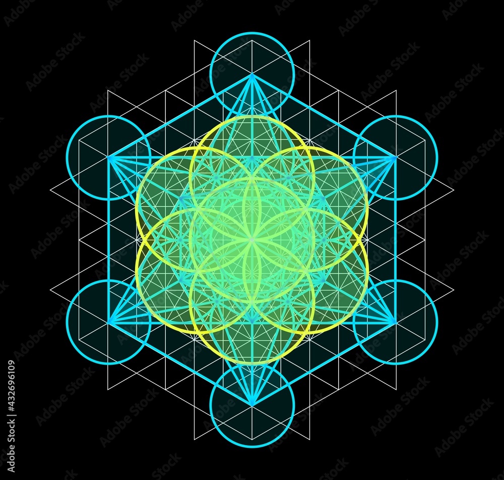 Sacred Geometry - Metatron's Cube and Flower of life, Vector ...