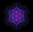 Sacred Geometry - Metatron's Cube and Flower of life, Vector Illustration