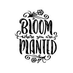 Wall Mural - Bloom where you are planted hand drawn quote lettering. Floral motivational typography design. Perfect for t-shirt prints, posters. Vector vintage illustration.