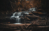 Fototapeta Do przedpokoju - waterfall in the forest