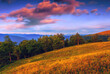 moutains view, picturesque evening meadow on slope of mountain on background of valley and wonderful sunset dramatic sky, scenic nature scene, Great smky mountains national park