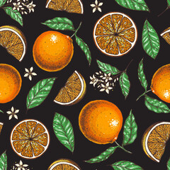 Wall Mural - Orange seamless pattern. Fresh citrus background. Hand drawn vector illustration. Organic food, citrus design template. Colored illustration