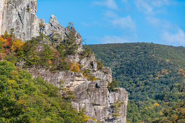 Wall Mural - Closeup view of Seneca Rocks stone cliff from visitor center during autumn with red yellow foliage on trees on peak with blue sky