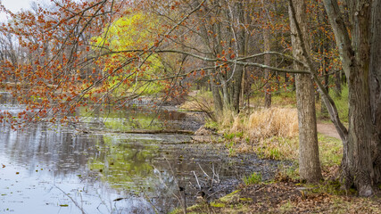 Sticker - Colorful spring trees with young leaves by lake