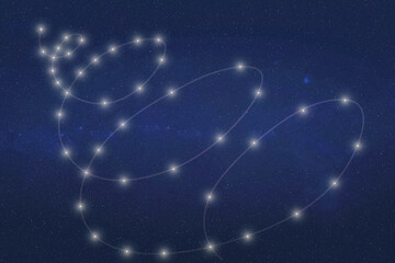 Wall Mural - beautiful spiral fiction constellation with constellation lines. dream fantastic wallpaper. elements
