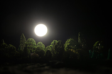 Wall Mural - mountain road through the forest on a full moon night. scenic night landscape of country road at nig