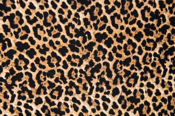 animal print textile texture. leopard fur background
