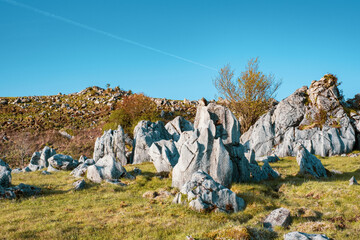 Wall Mural - Dramatic Landscape of Many Rocks and Stones on The Grassy Field under The Sky, Shikoku Karst in Japan, Natural or Environmental Image, Nobody