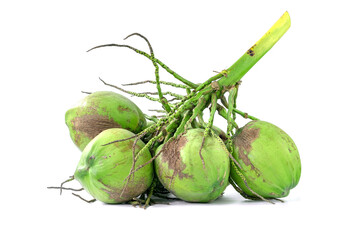 Group of freshness coconut in same bunch isolated on white background.