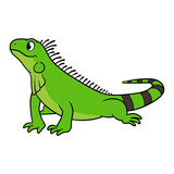Fototapeta Dinusie - Cartoon Green Iguana Vector Illustration
