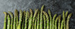 Fresh green asparagus on black smokey background