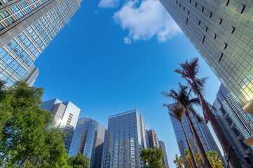 Wall Mural - Modern skyscrapers in the business district, Xiamen, China.