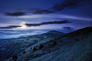 Wall Mural - hills of the petros mountain in summer at night. wonderful nature scenery of carpathians in full moon light