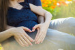 Eine schwangere Frau sitzt in einer Blumenwiese und wird von ihrem Partner liebevoll umarmt. Er formt ein Herz mit seinen Händen auf Ihrem Bauch