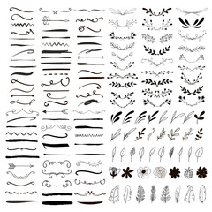 Wall Mural - line borders, text dividers and floral elements.