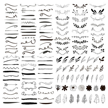 Line borders, text dividers and floral elements. 