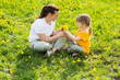 little girl gives mom a bouquet of dandelion flowers.  mom and daughter eat spend time together in nature