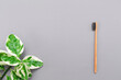 A bamboo toothbrush and plant on a gray background. Flat lay. Copy space. The concept of eco-friendly hygiene products