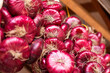 A bunch of red onions hangs in the market close-up. Bottom view