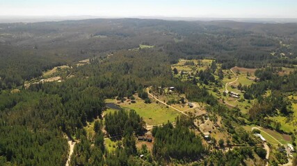 Wall Mural - amazing aerial view of the chilean countryside with the trees in the forest and agricultural fields 