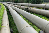 Fototapeta Łazienka - steel long pipe in crude oil factory. Industrial background