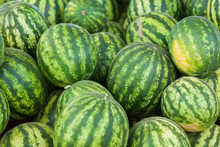 A Large Pile Of Fresh Green Watermelons Is On The Market