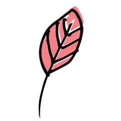 Wall Mural - Single hand drawn leaf for autumn decoration. Doodle vector illustration. Isolated on white background
