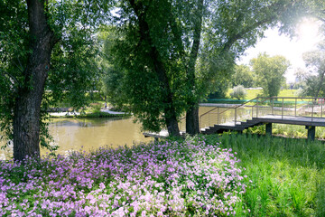 Wall Mural - spring in the park