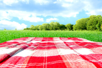 Canvas Print - Summer background of blanket on grass and free space for your decoration. 