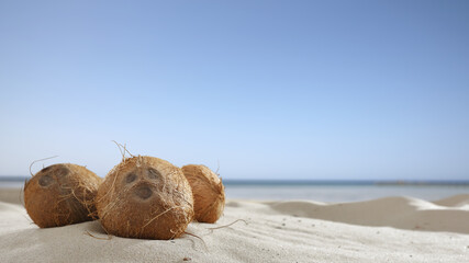 Wall Mural - Summer background of coconuts and sea ladnscape 