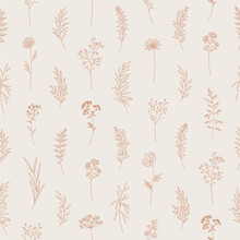 Wildflowers Seamless Pattern, Floral Vector Illustration. Elegant Print, Thin Line, Modern Style Design. Midsummer Meadow Herbs And Flowers. Nature Background For Fabric, Package, Wrapping, Prints.