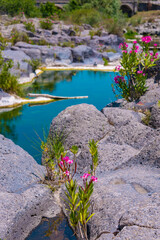 Wall Mural - Vertical image of the Gorges of Acantara River in Sicily, Italy