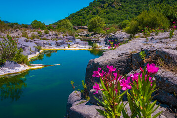 Wall Mural - Beautiful flowers by Alcantara River - a beautiful canyon-like valley deep inside Sicily