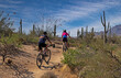 © Ray Redstone - Mountain Bikers Heading Up A Desert Trail In Scottsdale Arizona