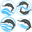 Sturgeon fish store logo vector t-shirt print fishing black caviar sea fish set