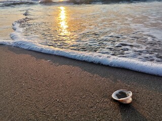 Sea foam sand and a shell at sunrise