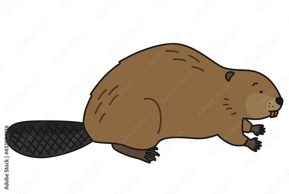 ビーバーのイラスト（横向き） Stock Vector | Adobe Stock