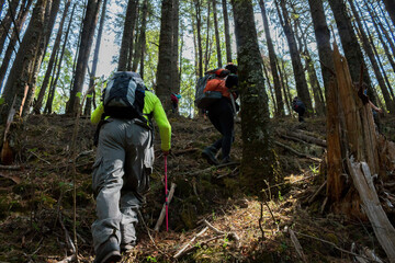 a group of hikers with backpacks hiking through the forests of iztaccihuatl in mexico