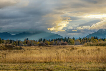 Wall Mural - cloudy stormy sky with sunbeams filtering through in autumn against mountainous background and a natural field in foreground