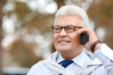 Poster - Senior businessman talking by mobile phone outdoors