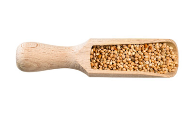 Wall Mural - unhulled yellow proso millet seeds in scoop cutout